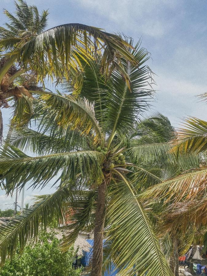Mamallena Beachside Rincon Del Mar 外观 照片